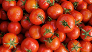 management rapportages tomaten